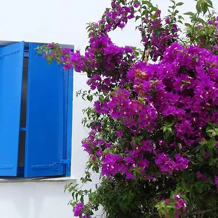 το σπίτι του παππού Apartamento *