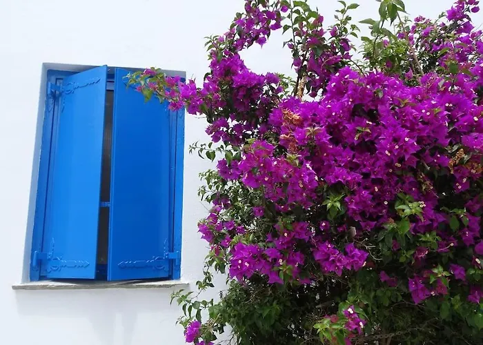 το σπίτι του παππού Apartment *